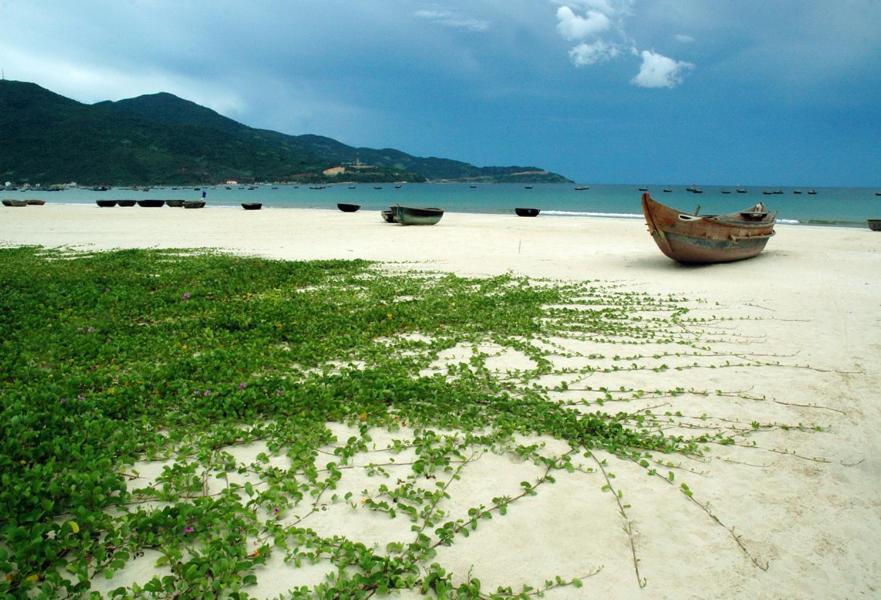 Fstay - Cozy And Peaceful Homestay Da Nang Exterior foto